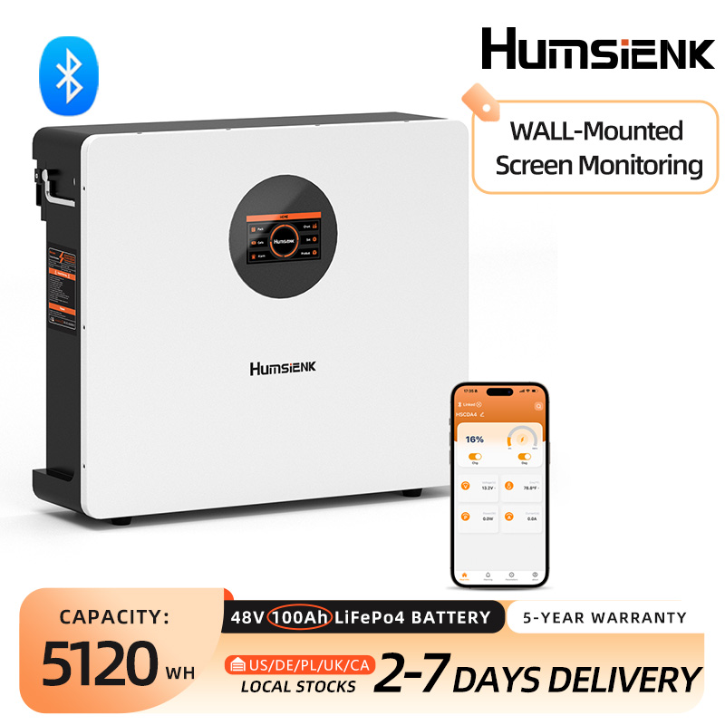 Humsienk 48V 100Ah Wall-Mounte - Cycling Gear Wall Storage 评论和价格